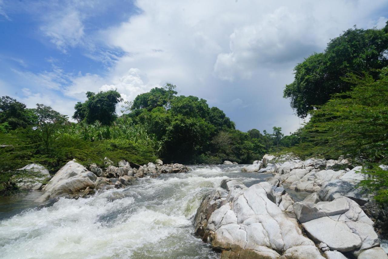 La Ponderosa Reserve Buritaca Eksteriør bilde