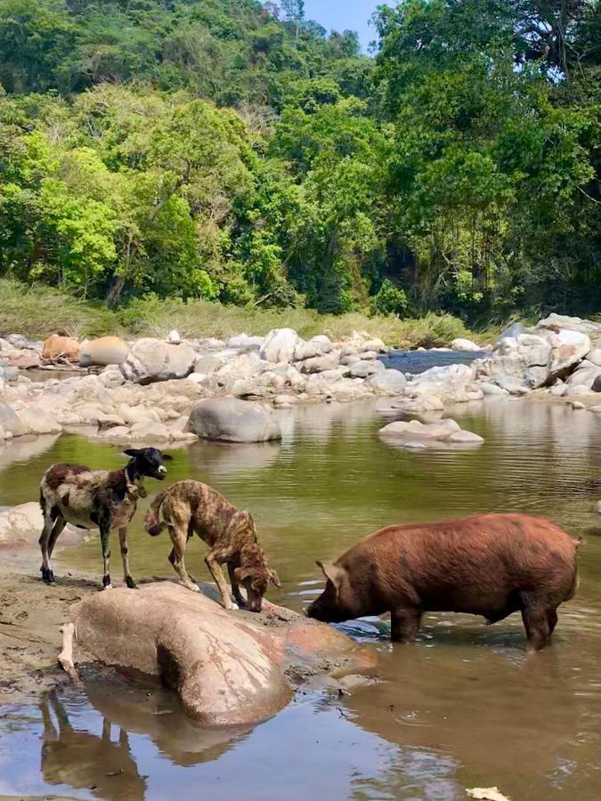 La Ponderosa Reserve Buritaca Eksteriør bilde