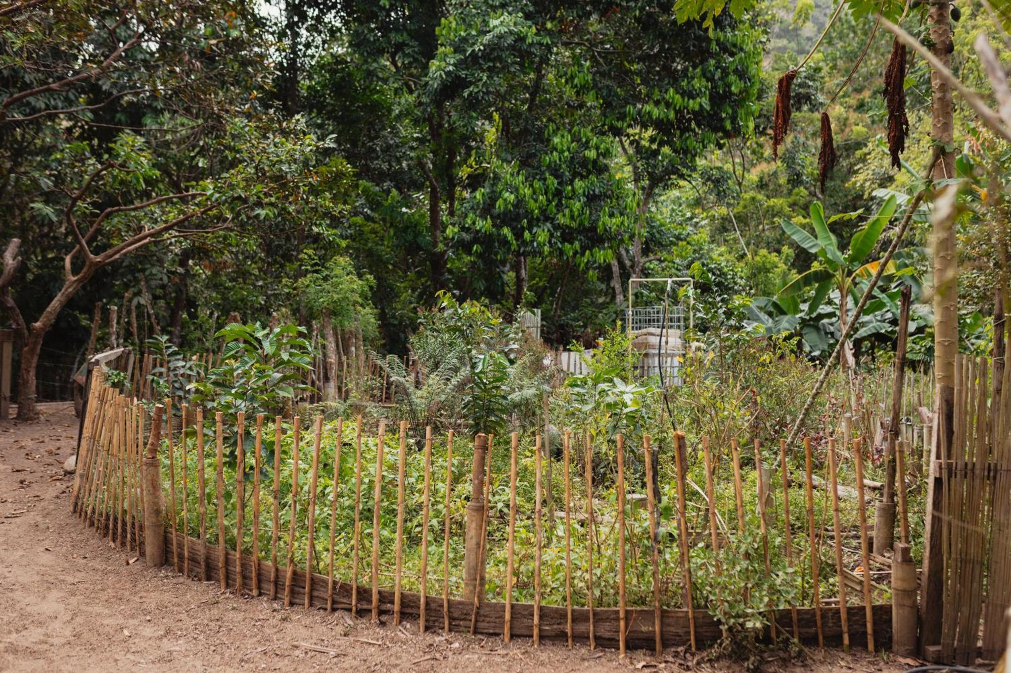 La Ponderosa Reserve Buritaca Eksteriør bilde
