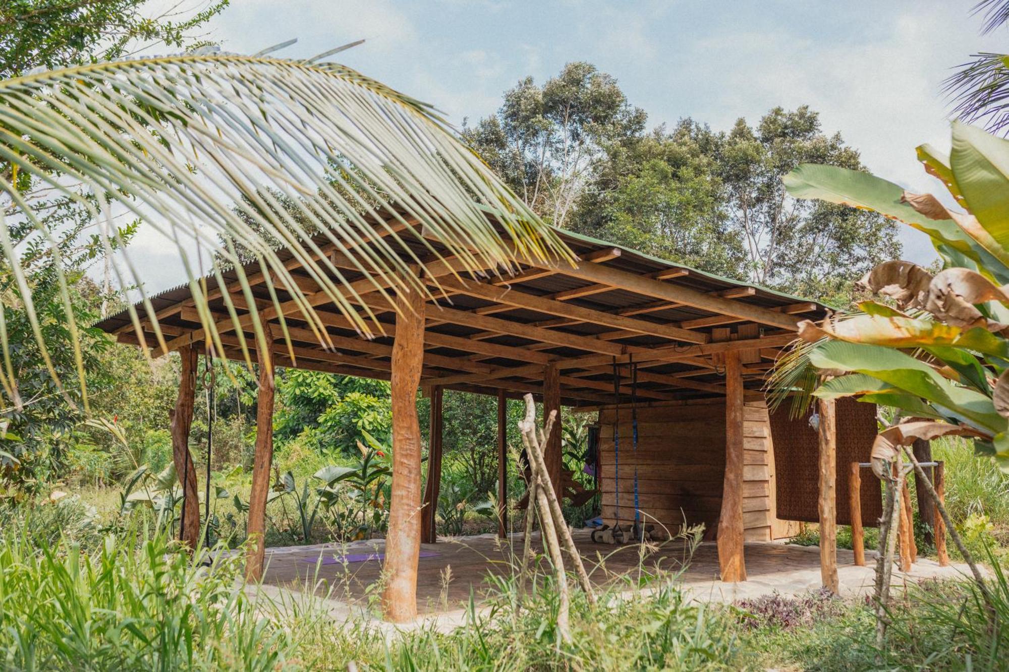 La Ponderosa Reserve Buritaca Eksteriør bilde