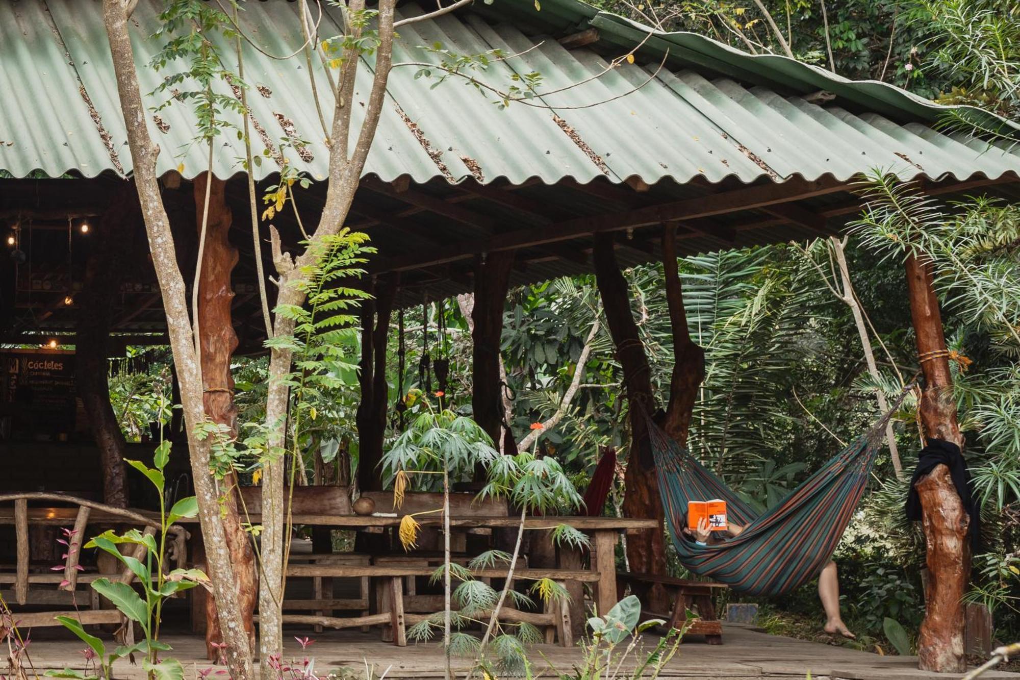 La Ponderosa Reserve Buritaca Eksteriør bilde