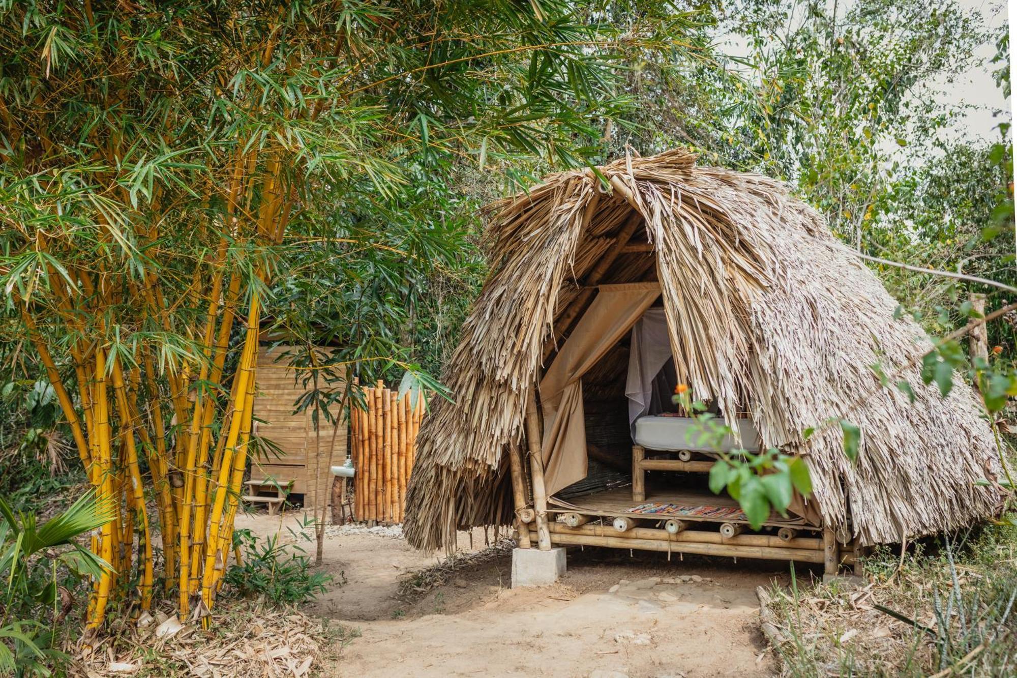 La Ponderosa Reserve Buritaca Eksteriør bilde