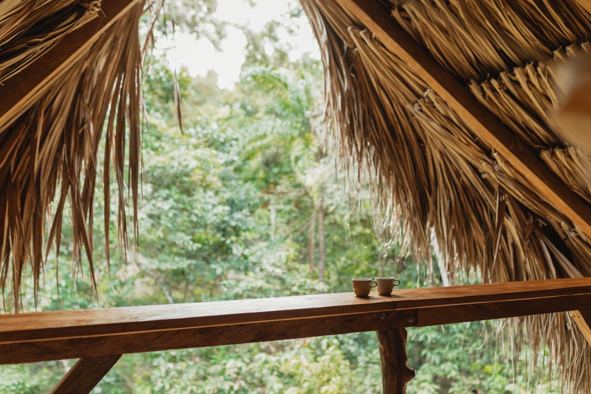 La Ponderosa Reserve Buritaca Eksteriør bilde