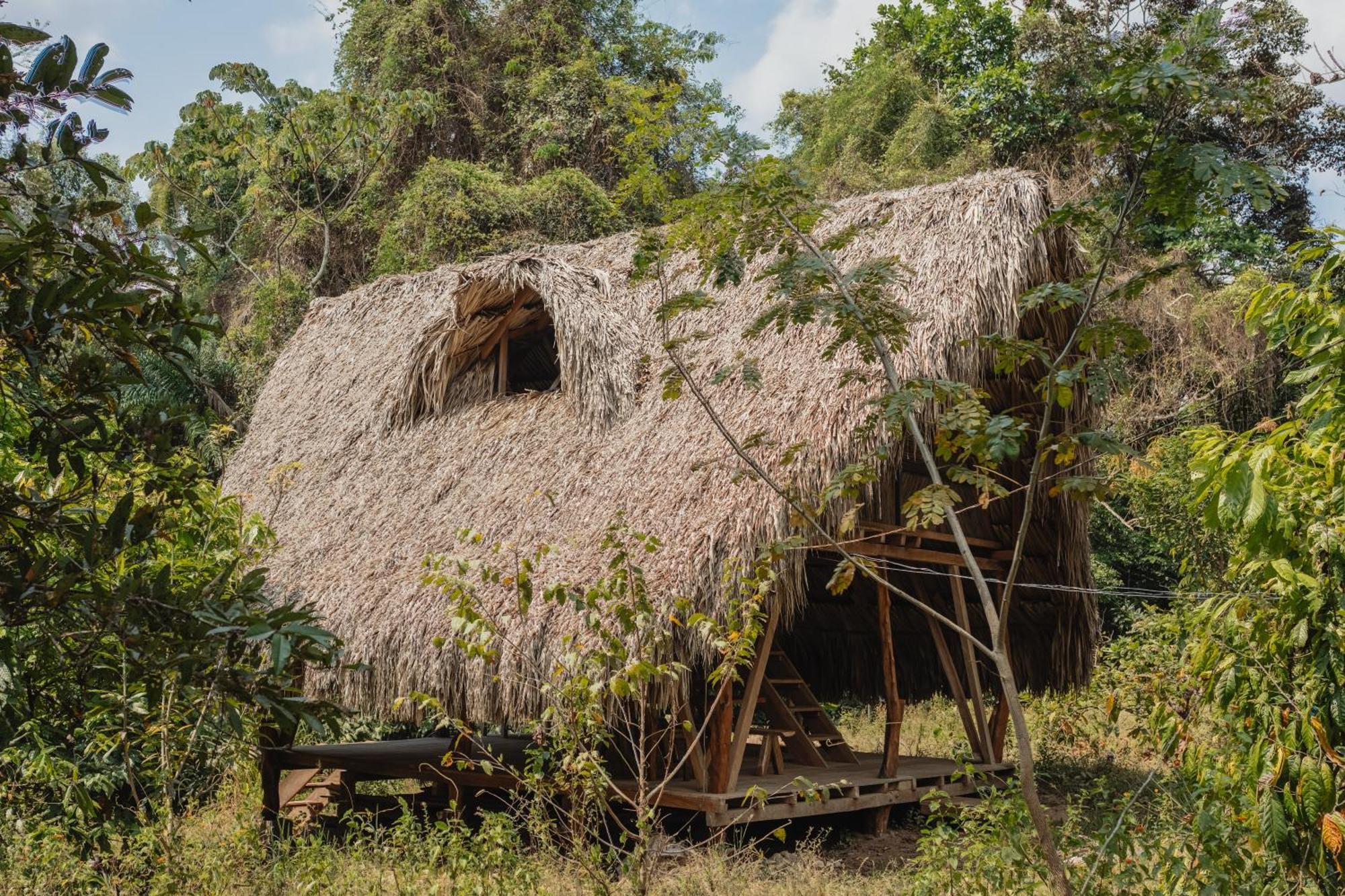 La Ponderosa Reserve Buritaca Eksteriør bilde